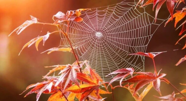 Latvijā pārspēti 20 siltuma rekordi; kļuvis vēsāks