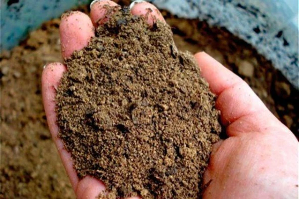 Rīgas iedzīvotājiem izsniegs smiltis ietvju kaisīšanai ziemā