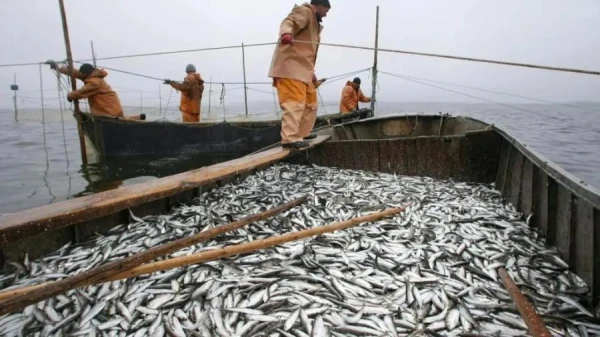 Apbalvos konkursa «Lielais loms 2025» laureātus