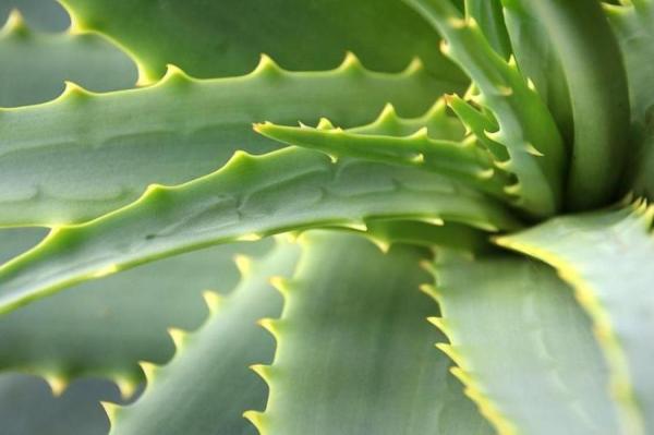 Rīgā pabeigta 136 ceļu ātrumvaļņu izbūve