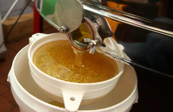 Polijas izcelsmes produktā «Dažādu ziedu medus, Tautas» PVD konstatējis svešu cukuru pazīmes