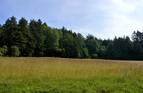 Ceturtdien gaisa temperatūra pakāpsies līdz +25 grādiem