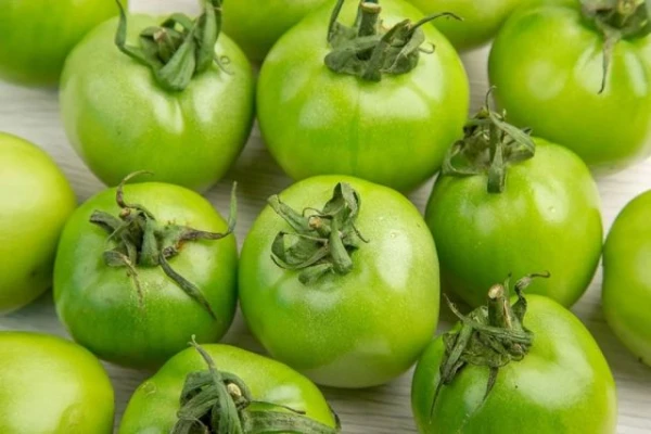 Vietā pienesījums - inde. Kam un kāpēc nedrīkst ēst zaļos tomātus un citus dārzeņus