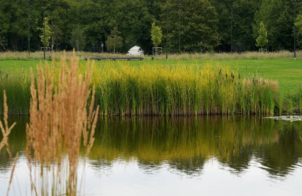 Ūdens temperatūra peldvietās vietām sasniedz 19 grādus