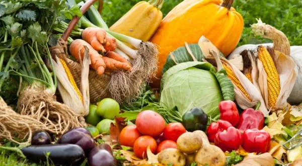 Gastroenterologs nosaucis «galveno» rudens dārzeni vielmaiņas stimulēšanai