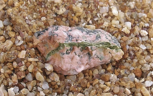 Бактерии Chroococcidiopsis внутри камня.