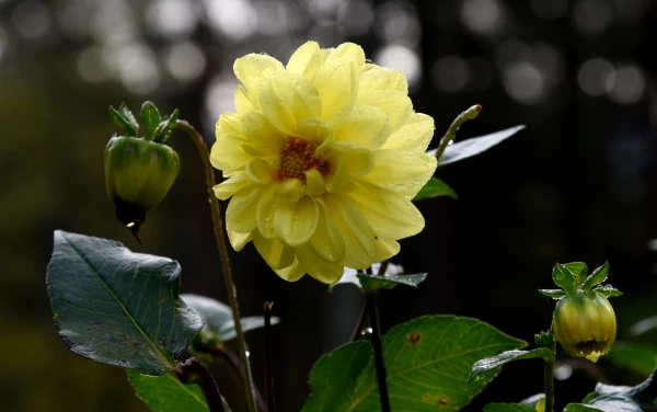 Dienas gaitā daudzviet Latvijā uzlīs