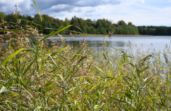 Otrdien spīdēs saule un dažviet īslaicīgi līs