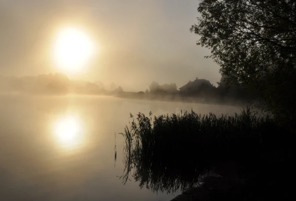 Ziņas par laiku nākamnedēļ