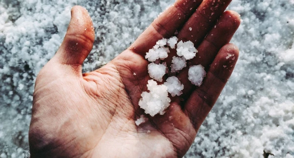 Nosaukta garšviela, kas palielina sirdslēkmes un insulta risku