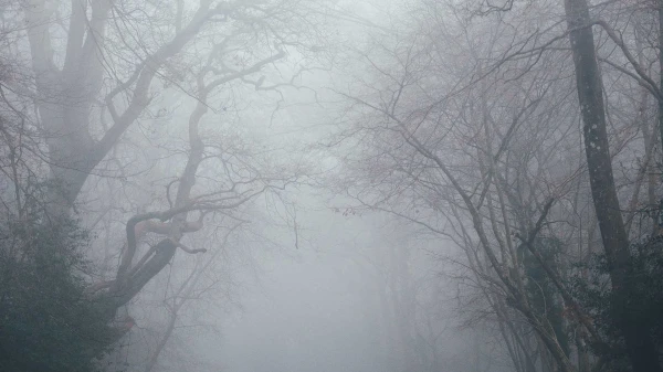 Uz Latviju nāk migla - sinoptiķi