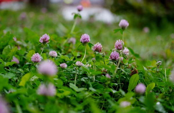 Oktobris pārsteigs: Eiropas sinoptiķi snieguši prognozi Latvijai