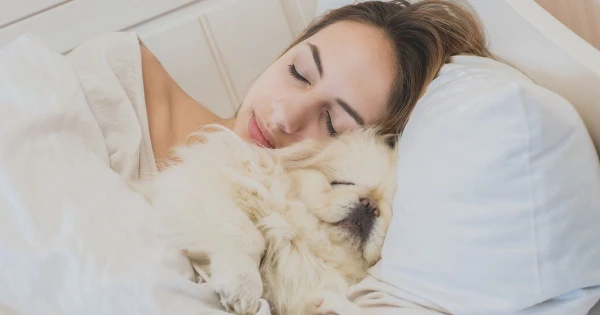 Vai vajag gulēt ar suni? 7 pārliecinoši iemesli