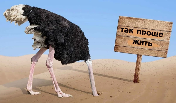 Izslēdzu ziņas — ieslēdzu strausu: psihologi izskaidroja, kāpēc mēs to darām