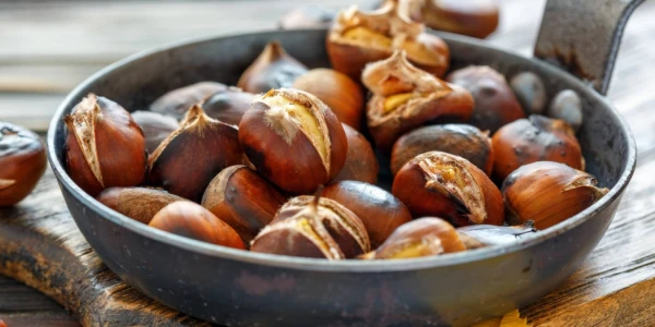 Фото: Shutterstock