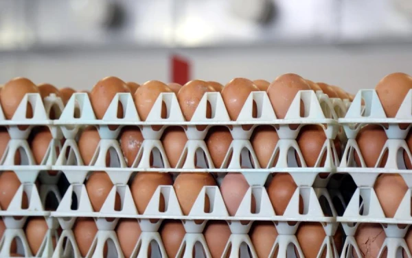 Veikali atsakās, bet ražotāji nespēj paspēt - izcēlies cīņa par olām