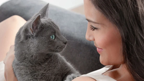 Kāds saimnieks patiks kaķim: ko novērtē mājdzīvnieki