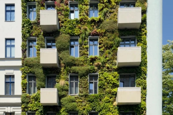 Biophiliskais dizains: kā veģetācija maina iekšējos telpas un dzīvi