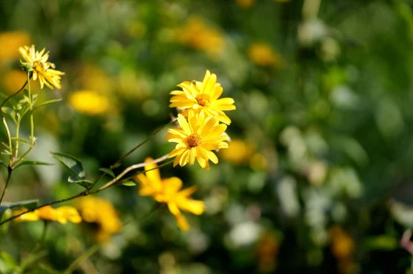 Piektdiena nenesīs laikapstākļu izmaiņas