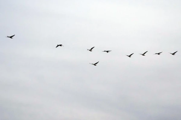 Šodien debesis būs apmākušās