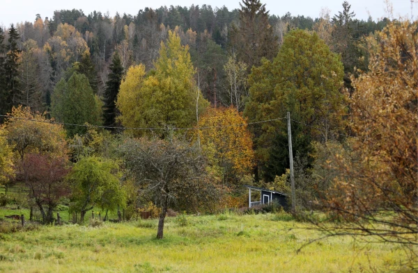 Otrdien daudzviet gaidāms lietus