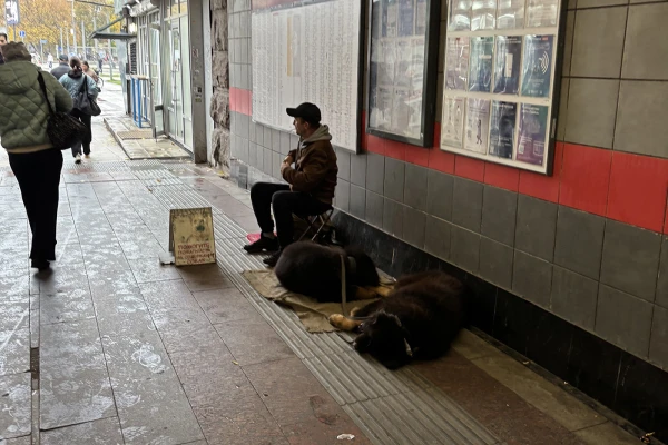 Скоро за выручкой придут их хозяева.