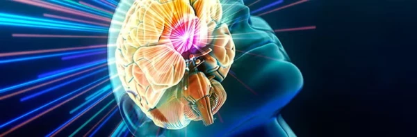 Наш мощный биологический компьютер.