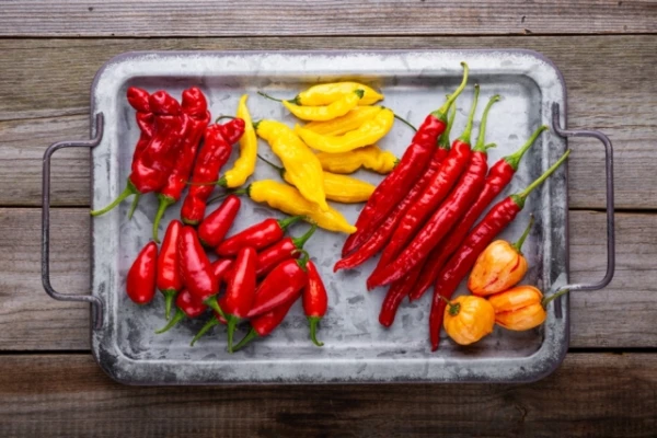 Vai assā paprika ir bīstama kuņģim?