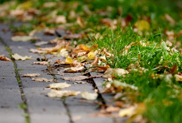 Ceturtdien daudzviet gaidāms lietus