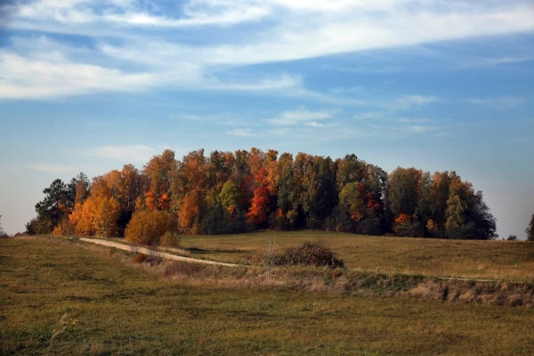 Piektdien lielā valsts daļā spīdēs saule