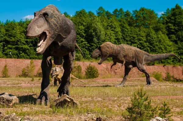Pirms 166 miljoniem gadu atstātie dinozauru pēdas atrastas kaļķakmens karjerā