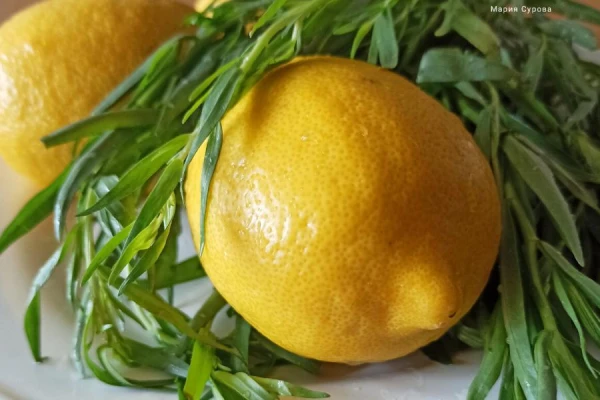 Vai mājās no kauliņa var izaudzēt citronu?