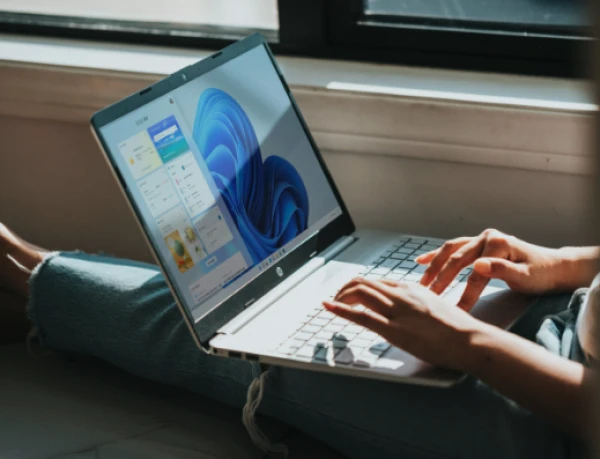 Windows 11 salūza vadība
