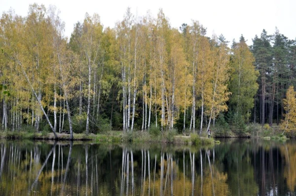 Sinoptiķi pastāstīja, kādas būs tuvākās dienas