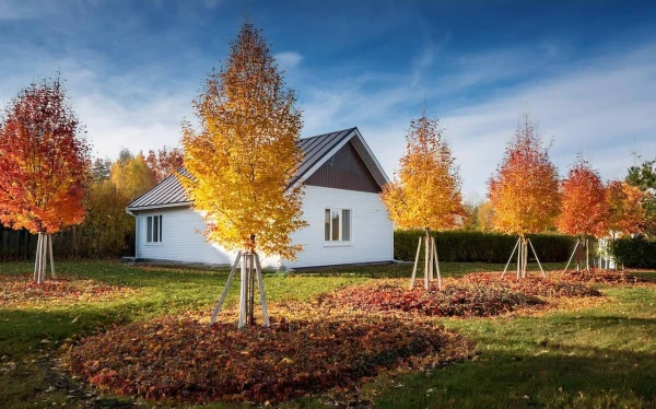 Rudens darbi: 5 lietas, kas jāpaspēj izdarīt dārzā līdz decembrim