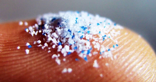 Pasaules pārtikas krājumi ir apdraudēti. Kas ir pie vainas?