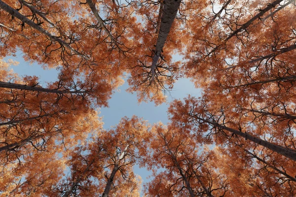 Kāda būs laika prognoze brīvdienās Latvijā? Sinoptiķi snieguši prognozi