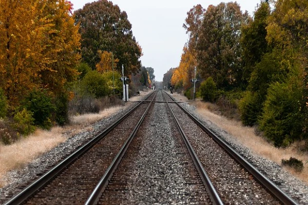 Eiropā dēļ zādzības dzelzceļā apstājušies desmitiem vilcienu