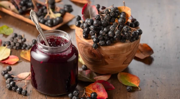 Sarkana vai melna: zinātnieki novērtējuši kalnu pelnu labumu