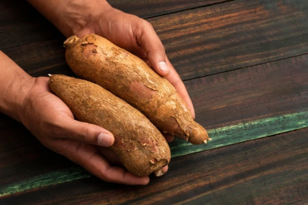 Visbīstamākā pārtika pasaulē: ko labāk pat neizmēģināt