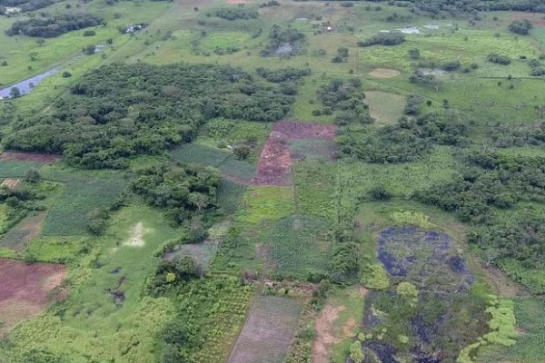 Фото: Takeshi Inomata / wikipedia.org