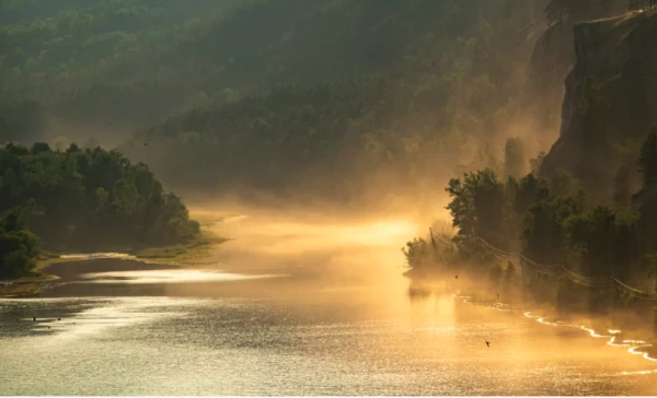 Uz Latviju nāk spēcīga migla - sinoptiķi