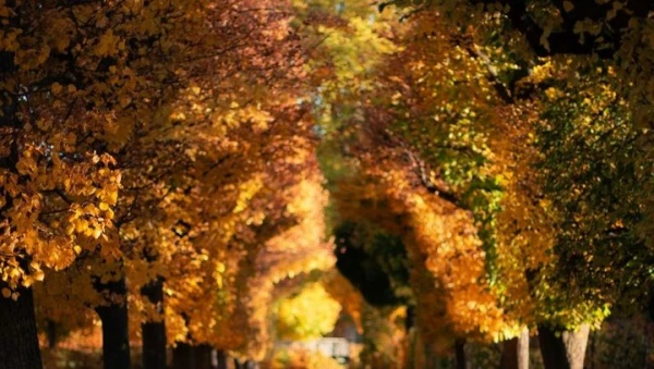 Latvijā noteikts jauns temperatūras rekords