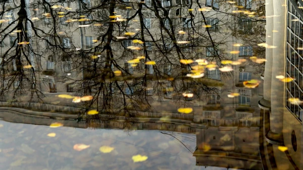 Un ko jūs vēlējāties novembrī? Vienīgā brīvdiena nedēļā tiks sabojāta