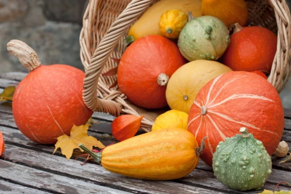 Novembrī, patriots, ēd Latvijas sakni! Zemnieki izteikuši neparastu iniciatīvu