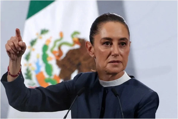 Синьора Шейнбаум настроена решительно.