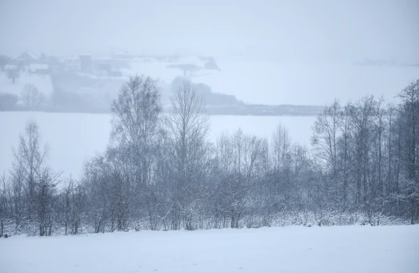 Ziemā Rēzeknes novadā nosalušā divus gadus vecā zēna mātei piespriež divu gadu un deviņu mēnešu cietumsodu