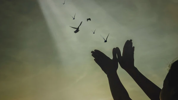 «Velnišķie slazdi»: kā atlaist situāciju un atgūt kontroli pār sevi