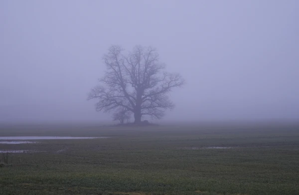 Trešdien nav gaidāmi būtiski nokrišņi