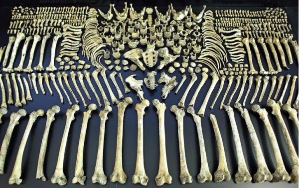 Izteiciena «mētāt kaulus» izcelsme